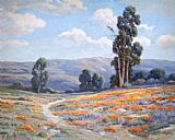 California Canvas Paintings - California 3